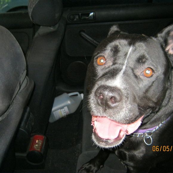 Meet your Posher, Roster - Picture 1 of 1